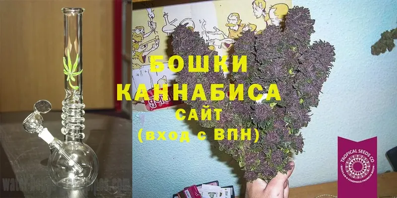 Каннабис White Widow  Новозыбков 